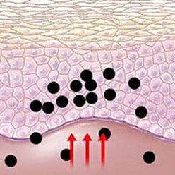 Bamboo Vinegar Extract Absorbs Impurities
