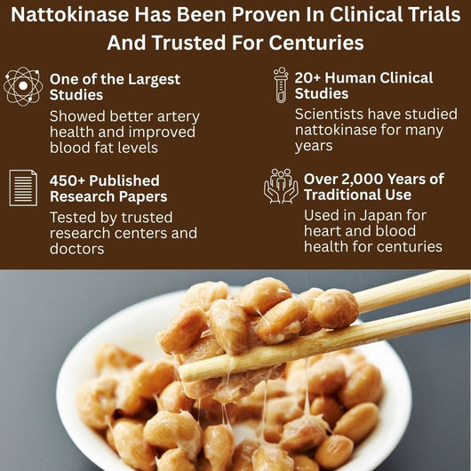 High - Strength 8000 FU Nattokinase For Healthy Blood Flow, Clear Arteries, And Everyday Heart Support - JumpingDots