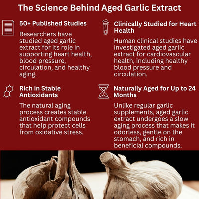 Aged Garlic Extract 7,500 mg - Odorless
