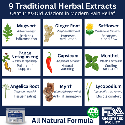 Traditional Japanese Herbal Patches - JumpingDots