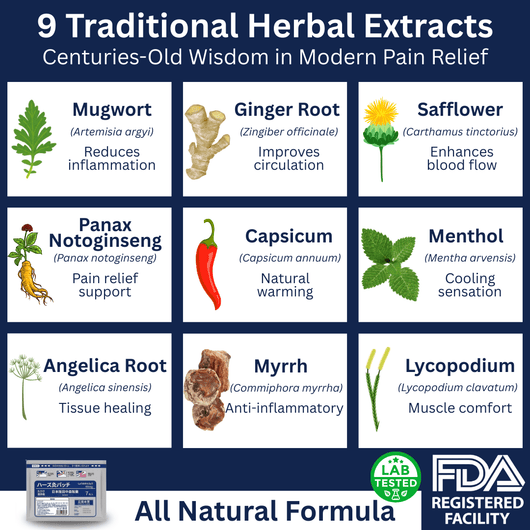 Traditional Japanese Herbal Patches - JumpingDots