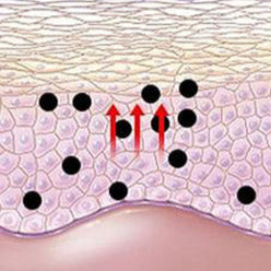 Cyclic Adsorption of Impurities