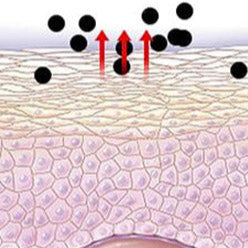 Cleanse Body Impurities